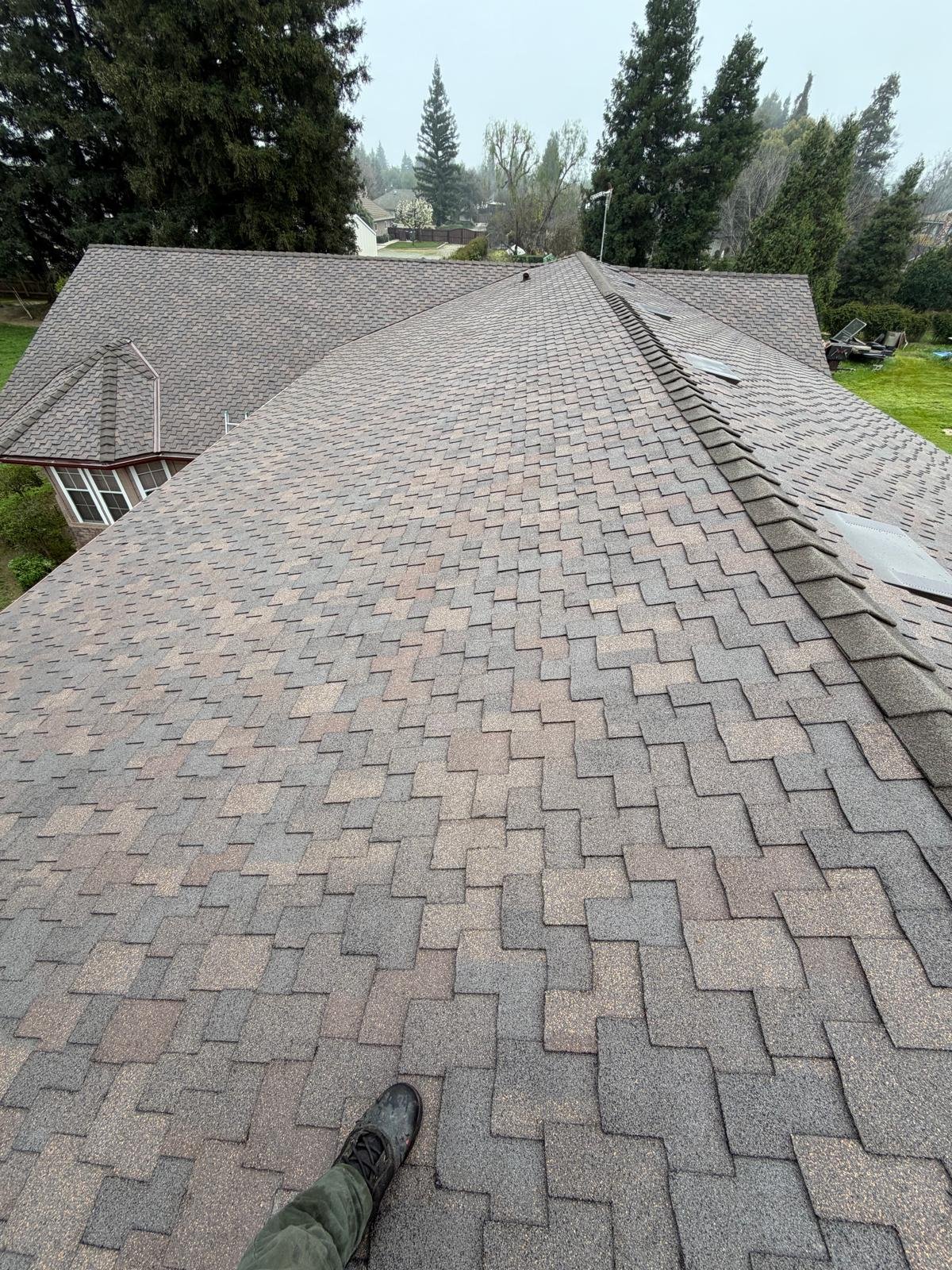 Project 2 Image 11